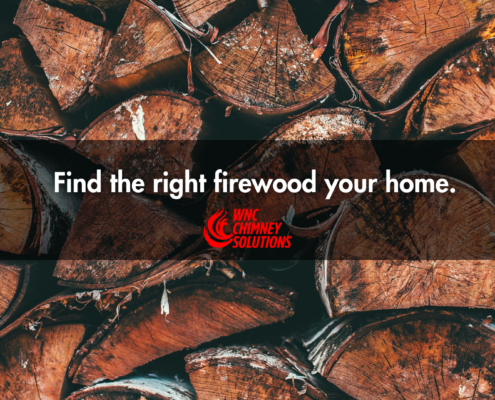 best firewood for your asheville home